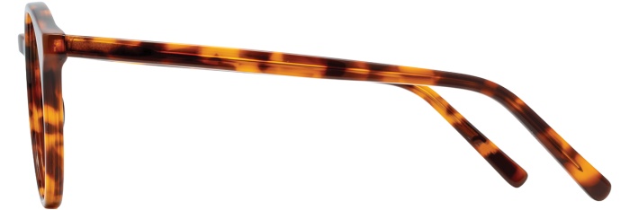 Adin Thomas Studio 021